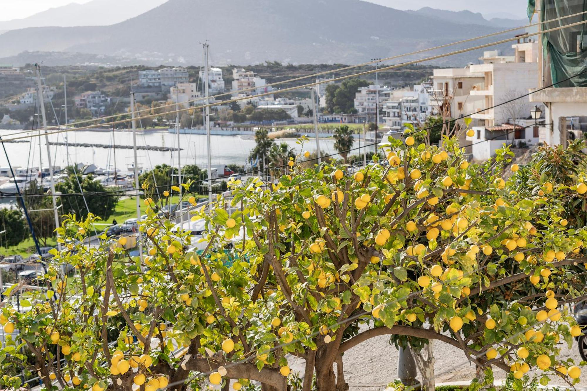 Jelena Apartments By The Sea Agios Nikolaos  Exterior photo